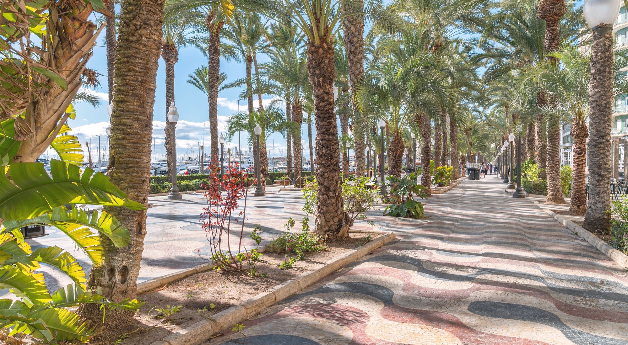 La Explanada de España, Alicante